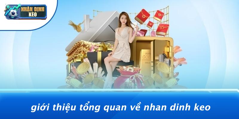Giới Thiệu Tổng Quan Về Nhan Dinh Keo