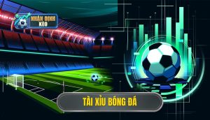 Tài xỉu bóng đá